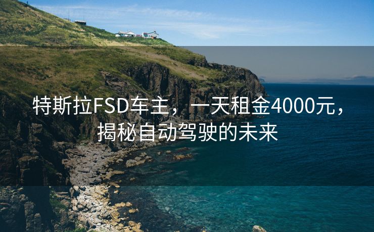 特斯拉FSD车主，一天租金4000元，揭秘自动驾驶的未来