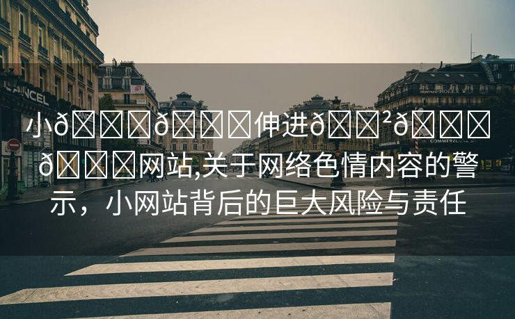 小🐔🐔伸进🈲🔞🔞网站,关于网络色情内容的警示，小网站背后的巨大风险与责任