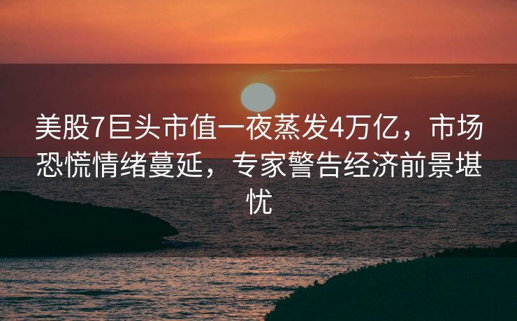 美股7巨头市值一夜蒸发4万亿，市场恐慌情绪蔓延，专家警告经济前景堪忧