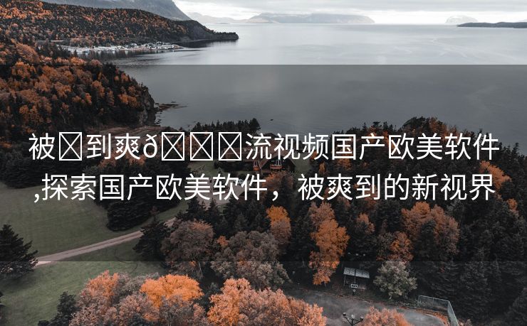 被❌到爽🔞流视频国产欧美软件,探索国产欧美软件，被爽到的新视界